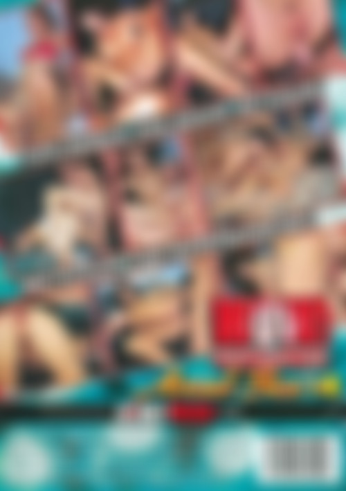 Wow! That's What I Call Anal Sex #4 back cover