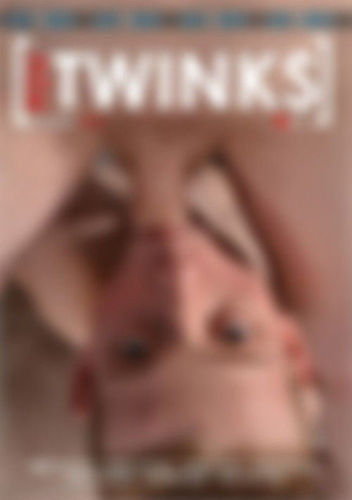 POV Twinks Vol. 3 front cover