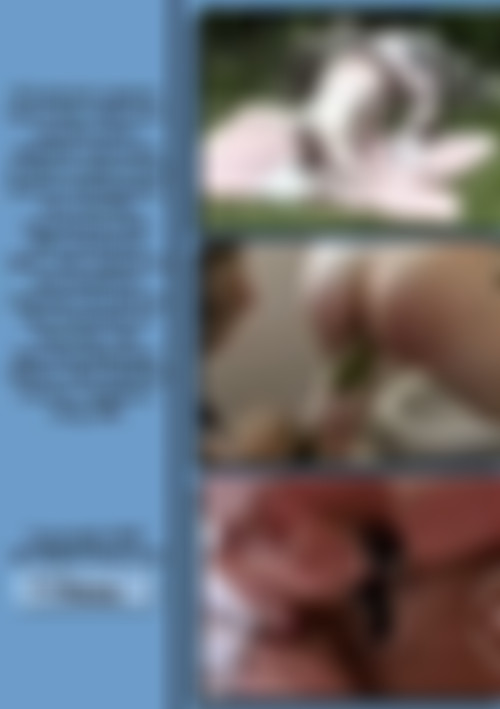 The Sexual Fantasies Of Harry Taz back cover