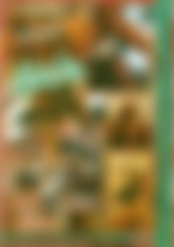 Jockin' Jay's Dick back cover