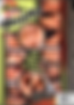 My Baby Got Boobs back cover