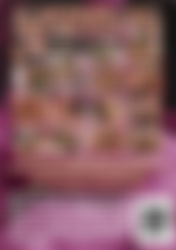 Twink-a-licious back cover