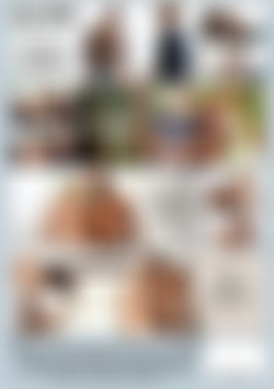 Sexual Favors 3 back cover