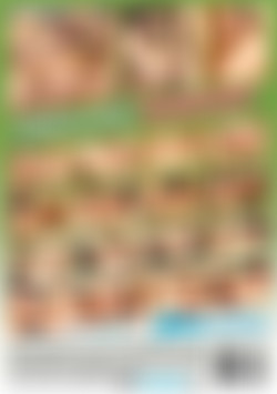 Threesomes Company 3 back cover