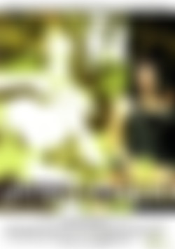 Pussy On a Stick front cover