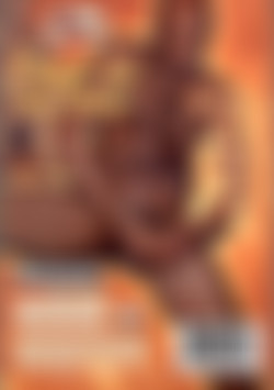 Fire In Da Hole back cover