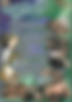 Black Stallion back cover