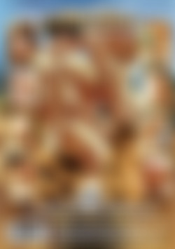 Brazilian Stallion back cover