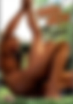 Dark Meat in the Rear front cover