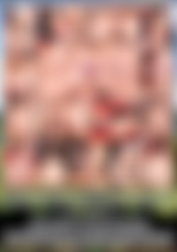 Ass Stretchers 4 back cover