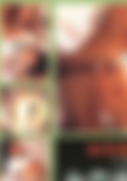 Wet Vol. 12 - I Love Handcuff back cover