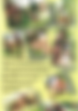 Ercole, Il Trans E Gli Osceni back cover