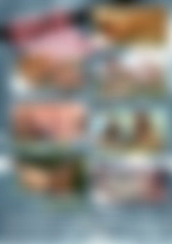 Taboo Sex Fantasies Volume 51 - Submerged Submissives! back cover