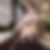 [SheLovesBlack.com] Eden Ivy - Rebound Anal [2160p] thumbnail