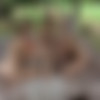[AcademyPOV.com] Tiffany Tatum, Mona Blue & Marilyn Sugar - Sugar New Girls In The Camp [2021-08-19, Gonzo, POV, 2160p, SiteRip] thumb