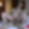 [WoodmanCastingX.com] Rachel Daniellas aka Natalie - Casting X 173 * Updated * (24.12.2018) [2018 ., Anal, Casting, Teen, All sex, 720p] thumb