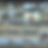[NIP-Activity.com] SiteRip 2007-2017 (MegaPack 481 scenes) thumb