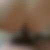 [ATKGirlfriends.com] Lyra Law (Hawaii 6/12) [2017 ., Anal, Creampie, POV, Blowjob, Handjob, Footjob, All Sex, 1080p] thumb