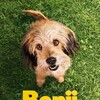 Benji [2018] / H264 / MKV / WEB / 1080p / AC3 / Subs / NTG thumb