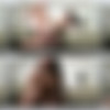 [MyDirtyHobby] Meli-Deluxe Megapack thumb