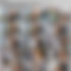 SpecialExamination.com [Siterip till August 2011] thumbnail
