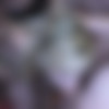 Bukkake Sperm Party 22 /    22 (Bukkake Sperm Party) [2021 ., Big Cocks, Blowbang, Blowjobs, Bukkake, Cumshots, Facials, Gangbang, Gonzo, Handjobs, Naturally Busty, Tattoos, 1080p, VOD] (Cherry English, Loula Lou, Tanya Virago, Tara Spades, Piggy Mouth, Louise Lee, April Paisley, Beau Diamonds, Catalia Valentine, Sexy Cleo, Cherri, Pixie Queen, Sarah Slave) thumb