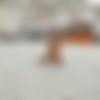 [NIP-Activity.com] Siterip UPDATE (192 ) [2021 - 2023*, Exhibitionism, Nude In Public, Public Nudity, Outdoor, Walking, 1080p] thumb
