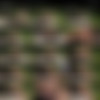 ALSScan 2017-05-01 to 2017-05-21 [2160p] thumb
