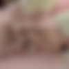 [QuestForOrgasm.com / PornDoePremium.com] Jessica Spielberg (Lusty Russian babe Jessica Spielberg masturbates for wild orgasms / 2017-06-26) [2017 ., Babe, Brunette, Masturbation, Sex Toys, Solo, 480p] thumb