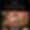 [MPLStudios.com] 2012-  [3  - Erotic, 720p, 1080p, SiteRip, +Covers] thumb