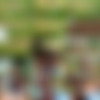 [PervsOnPatrol.com / Mofos.com] Riley Reid (Look What I Found / 03.11.11) [Outdoor Sex, Pov, Tattoo, Teen, Oil, Stockings] thumb