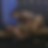 SubmissiveX.com / Kink.com - Mistress Kara Gets Revenge on Ariel X (Apr 16, 2019) (SX-44438) thumbnail