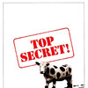 Top Secret! [1984] / H264 / MKV / Blu-ray / SD / AC3 / Subs thumb