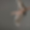 [Hegre-Art.com] 2016-01-05 Magdalena - Nude Anti Gravity Yoga [Solo, Erotic, 1080p] thumb