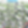[LegalPorno.com] Blanche Bradburry assfucked on a picnic by the lake SZ1465 / 06.01.2018 [A2M, Toys, DP, Gape, Gangbang, Big tits, Asslicking, Rimming, Anal, 480p] thumb