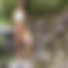 [Watch4Beauty.com] 2015-09-13 Lady Dee - Wild Teen Backstage [2015 ., Photoshoot, Solo, Posing, 1080p] thumb