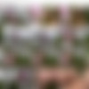 Mydirtyhobby.com - MinaWicked - Megapack of 115 vids thumb