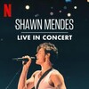 Shawn Mendes Live in Concert 2020 HDR 2160p WEBRip x265-LiQUiD thumb