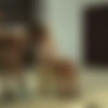 [TheLifeErotic.com] 2015-11-20 Frida C, Tracy Lindsay (Control 2) [2015., Lesbian, Masturbation, 1080p] thumb