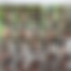 Tsukushi Uncensored JAV Pack - 720p thumb