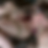 [sexuallybroken.com] Virgins | Penny Lay | Jesse Dean || 720p thumb