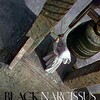 Black Narcissus [1947] / H264 / MKV / Blu-ray / 720p / FLAC / Subs thumb