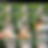 [UnlimitedMuse.com] Site Rip till April 2020 thumb