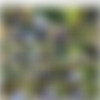 [InTheCrack.com] #1510 Lily Adams [2019 ., Solo, Close ups, Toys, Outdoor, 2160p] thumb