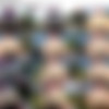 AssAndFurious.com SiteRip thumb