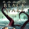 Black Wake 2018 1080p WEB H264-AMORT thumb