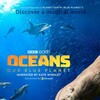 Oceans Our Blue Planet 2018 DOCU 2160p BluRay REMUX HEVC DTS-HD MA 5 1-FGT thumb