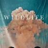 Wildlife [2018] / H264 / MKV / Blu-ray / 1080p / DTS thumb