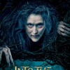 Into the Woods [2014] / H264 / MKV / Blu-ray / 1080p / DTS / Subs thumb