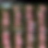 [req][Beshine.com] Siterip Update thumbnail